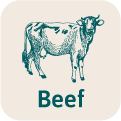 Beef